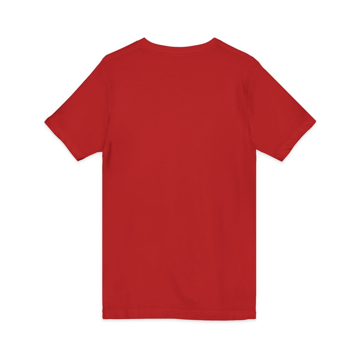 Unisex Jersey V-Neck Tee